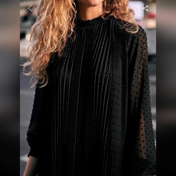 Sezane Armance Black Pleated Plumetis Chiffon Mini Dress - Picture 3 of 5